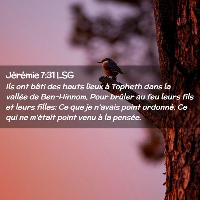 Picture 02 - Jérémie 7:31 LSG - Ils ont bâti des hauts lieux à Topheth dans la - Bible Verse Picture