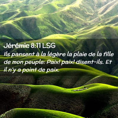 Picture 02 - Jérémie 8:11 LSG - Ils pansent à la légère la plaie de la fille - Bible Verse Picture