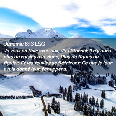 Picture 02 - Jérémie 8:13 LSG - Je veux en finir avec eux, dit l'Eternel; Il n'y - Bible Verse Picture