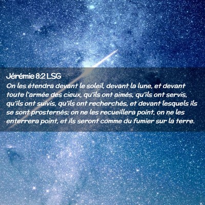 Picture 02 - Jérémie 8:2 LSG - On les étendra devant le soleil, devant la lune, - Bible Verse Picture