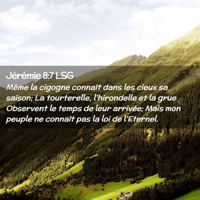 Picture 02 - Jérémie 8:7 LSG - Même la cigogne connaît dans les cieux sa - Bible Verse Picture