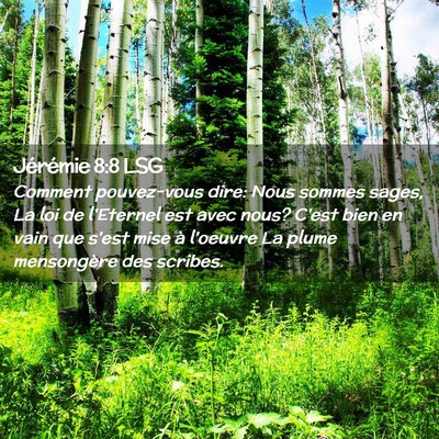 Picture 02 - Jérémie 8:8 LSG - Comment pouvez-vous dire: Nous sommes sages, La - Bible Verse Picture