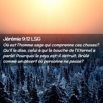 Picture 02 - Jérémie 9:12 LSG - Où est l'homme sage qui comprenne ces choses? - Bible Verse Picture
