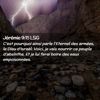 Picture 02 - Jérémie 9:15 LSG - C'est pourquoi ainsi parle l'Eternel des armées, - Bible Verse Picture