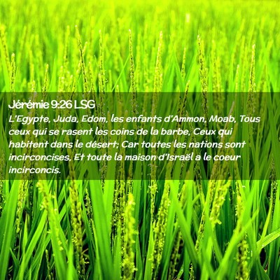 Picture 02 - Jérémie 9:26 LSG - L'Egypte, Juda, Edom, les enfants d'Ammon, Moab, - Bible Verse Picture