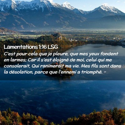 Picture 02 - Lamentations 1:16 LSG - C'est pour cela que je pleure, que mes yeux - Bible Verse Picture