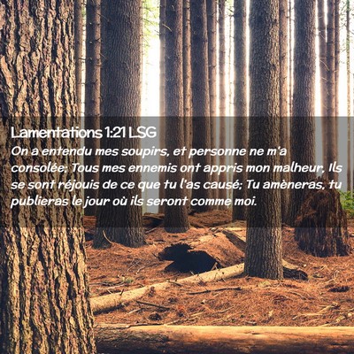 Picture 02 - Lamentations 1:21 LSG - On a entendu mes soupirs, et personne ne m'a - Bible Verse Picture