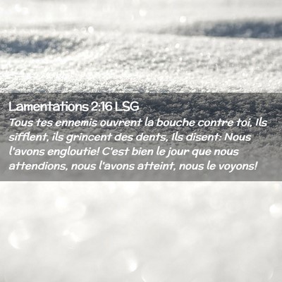 Picture 02 - Lamentations 2:16 LSG - Tous tes ennemis ouvrent la bouche contre toi, - Bible Verse Picture