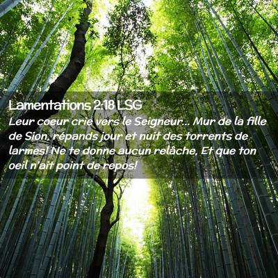 Picture 02 - Lamentations 2:18 LSG - Leur coeur crie vers le Seigneur... Mur de la - Bible Verse Picture