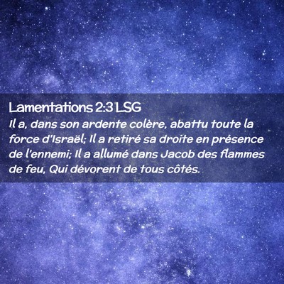 Picture 02 - Lamentations 2:3 LSG - Il a, dans son ardente colère, abattu toute la - Bible Verse Picture