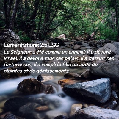 Picture 02 - Lamentations 2:5 LSG - Le Seigneur a été comme un ennemi; Il a - Bible Verse Picture
