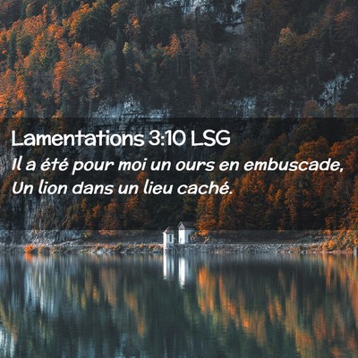 Picture 02 - Lamentations 3:10 LSG - Il a été pour moi un ours en embuscade, Un lion - Bible Verse Picture