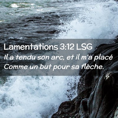 Picture 02 - Lamentations 3:12 LSG - Il a tendu son arc, et il m'a placé Comme un but - Bible Verse Picture