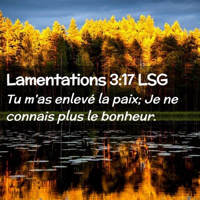 Picture 02 - Lamentations 3:17 LSG - Tu m'as enlevé la paix; Je ne connais plus le - Bible Verse Picture