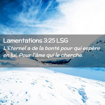Picture 02 - Lamentations 3:25 LSG - L'Eternel a de la bonté pour qui espère en lui, - Bible Verse Picture