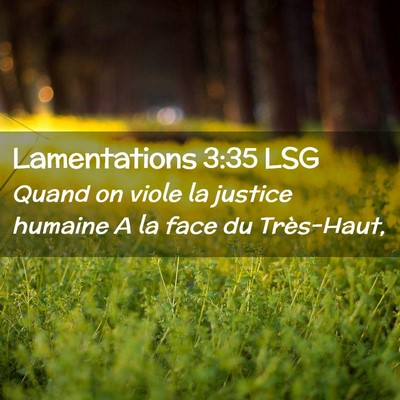 Picture 02 - Lamentations 3:35 LSG - Quand on viole la justice humaine A la face du - Bible Verse Picture