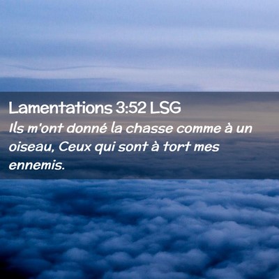 Picture 02 - Lamentations 3:52 LSG - Ils m'ont donné la chasse comme à un oiseau, - Bible Verse Picture