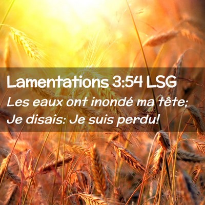 Picture 02 - Lamentations 3:54 LSG - Les eaux ont inondé ma tête; Je disais: Je suis - Bible Verse Picture