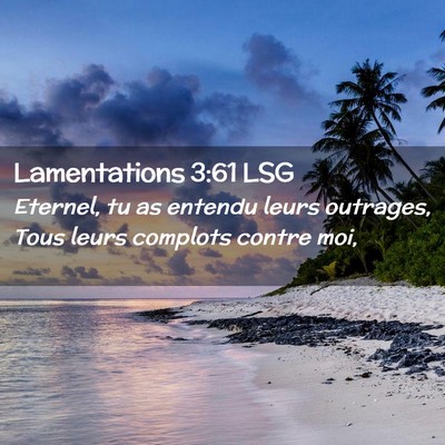 Picture 02 - Lamentations 3:61 LSG - Eternel, tu as entendu leurs outrages, Tous leurs - Bible Verse Picture