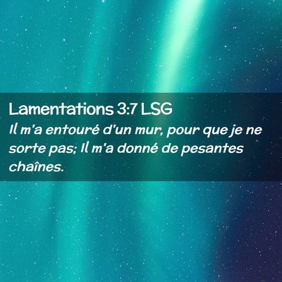Picture 02 - Lamentations 3:7 LSG - Il m'a entouré d'un mur, pour que je ne sorte - Bible Verse Picture