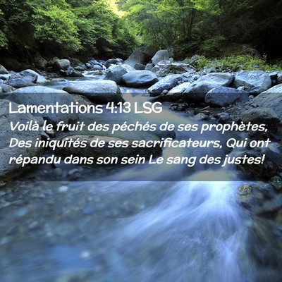Picture 02 - Lamentations 4:13 LSG - Voilà le fruit des péchés de ses prophètes, - Bible Verse Picture