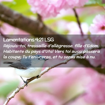 Picture 02 - Lamentations 4:21 LSG - Réjouis-toi, tressaille d'allégresse, fille - Bible Verse Picture