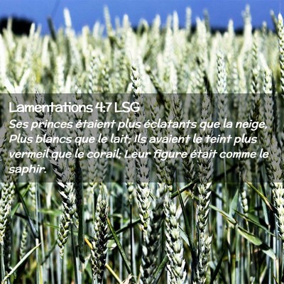 Picture 02 - Lamentations 4:7 LSG - Ses princes étaient plus éclatants que la - Bible Verse Picture