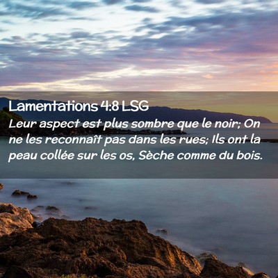 Picture 02 - Lamentations 4:8 LSG - Leur aspect est plus sombre que le noir; On ne - Bible Verse Picture