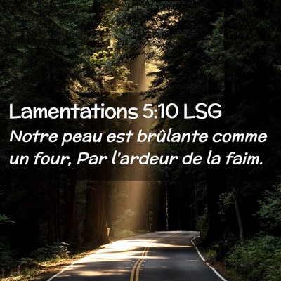 Picture 02 - Lamentations 5:10 LSG - Notre peau est brûlante comme un four, Par - Bible Verse Picture
