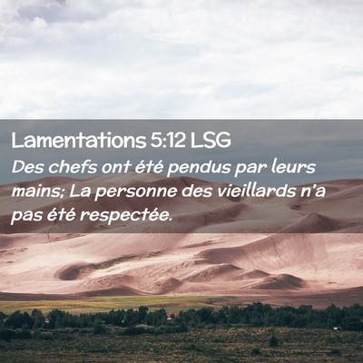 Picture 02 - Lamentations 5:12 LSG - Des chefs ont été pendus par leurs mains; La - Bible Verse Picture