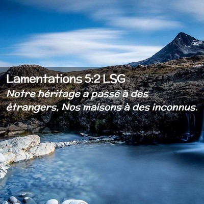 Picture 02 - Lamentations 5:2 LSG - Notre héritage a passé à des étrangers, Nos - Bible Verse Picture