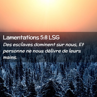 Picture 02 - Lamentations 5:8 LSG - Des esclaves dominent sur nous, Et personne ne - Bible Verse Picture