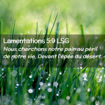 Picture 02 - Lamentations 5:9 LSG - Nous cherchons notre pain au péril de notre vie, - Bible Verse Picture