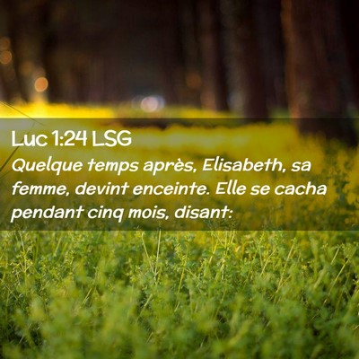 Picture 02 - Luc 1:24 LSG - Quelque temps après, Elisabeth, sa femme, devint - Bible Verse Picture