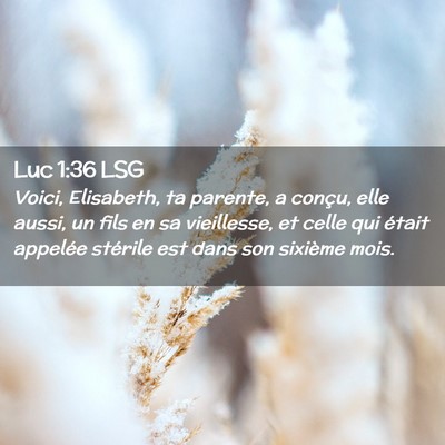 Picture 02 - Luc 1:36 LSG - Voici, Elisabeth, ta parente, a conçu, elle - Bible Verse Picture
