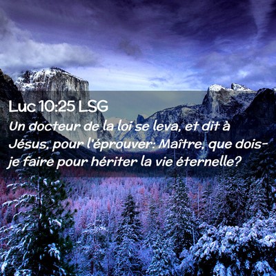 Picture 02 - Luc 10:25 LSG - Un docteur de la loi se leva, et dit à Jésus, - Bible Verse Picture