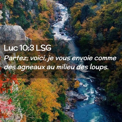 Picture 02 - Luc 10:3 LSG - Partez; voici, je vous envoie comme des agneaux - Bible Verse Picture