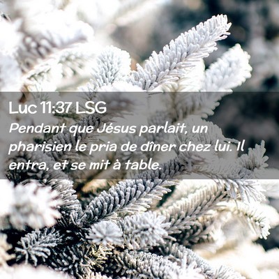 Picture 02 - Luc 11:37 LSG - Pendant que Jésus parlait, un pharisien le pria - Bible Verse Picture