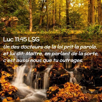 Picture 02 - Luc 11:45 LSG - Un des docteurs de la loi prit la parole, et lui - Bible Verse Picture