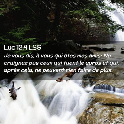 Picture 02 - Luc 12:4 LSG - Je vous dis, à vous qui êtes mes amis: Ne - Bible Verse Picture