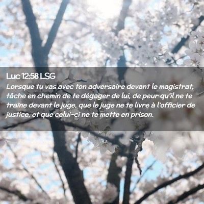 Picture 02 - Luc 12:58 LSG - Lorsque tu vas avec ton adversaire devant le - Bible Verse Picture