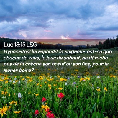 Picture 02 - Luc 13:15 LSG - Hypocrites! lui répondit le Seigneur, est-ce que - Bible Verse Picture