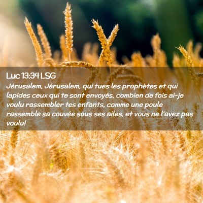 Picture 02 - Luc 13:34 LSG - Jérusalem, Jérusalem, qui tues les prophètes - Bible Verse Picture
