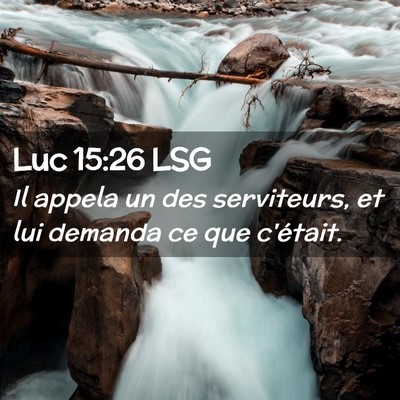 Picture 02 - Luc 15:26 LSG - Il appela un des serviteurs, et lui demanda ce - Bible Verse Picture