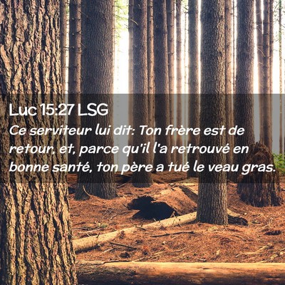 Picture 02 - Luc 15:27 LSG - Ce serviteur lui dit: Ton frère est de retour, - Bible Verse Picture