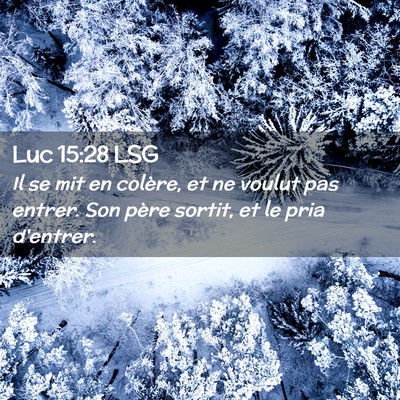 Picture 02 - Luc 15:28 LSG - Il se mit en colère, et ne voulut pas entrer. - Bible Verse Picture
