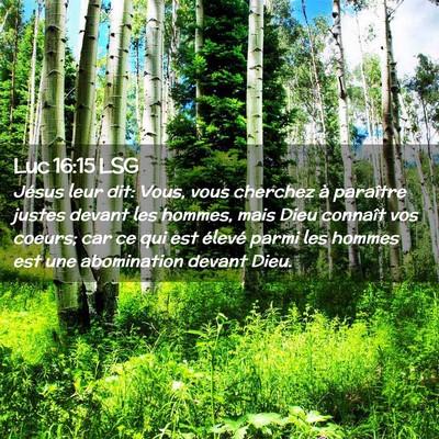 Picture 02 - Luc 16:15 LSG - Jésus leur dit: Vous, vous cherchez à paraître - Bible Verse Picture