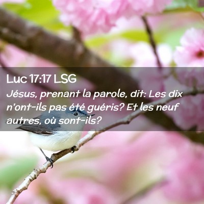 Picture 02 - Luc 17:17 LSG - Jésus, prenant la parole, dit: Les dix n'ont-ils - Bible Verse Picture