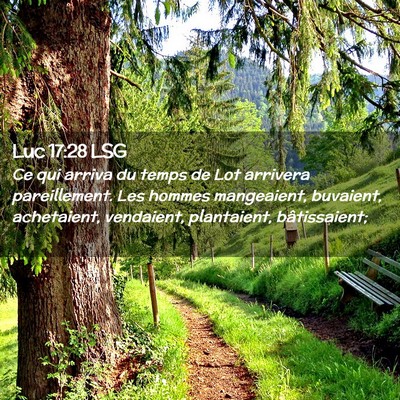 Picture 02 - Luc 17:28 LSG - Ce qui arriva du temps de Lot arrivera - Bible Verse Picture
