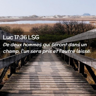 Picture 02 - Luc 17:36 LSG - De deux hommes qui seront dans un champ, l'un - Bible Verse Picture